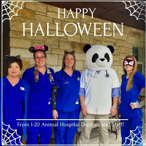 I-20 staff in halloween theme